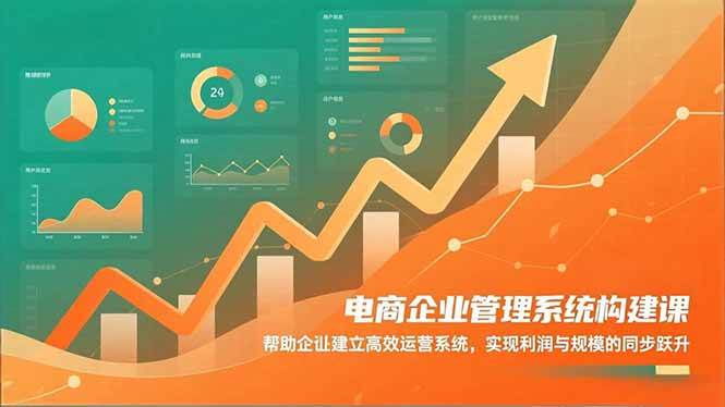 (11.23)电商企业管理系统构建课：帮助企业建立高效运营系统，实现利润与规模的同步跃升