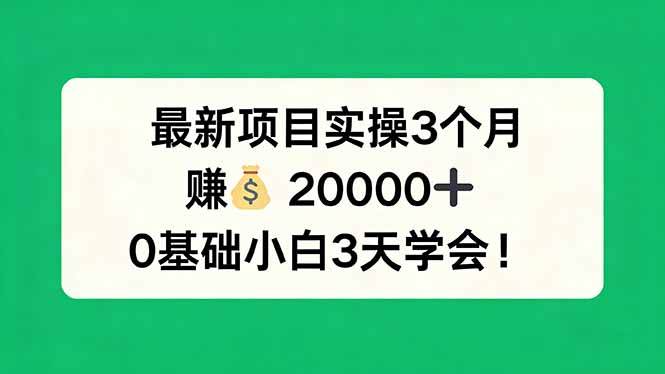 (4.3)最新项目实操3个月，赚钱20000+，0基础小白3天学会！